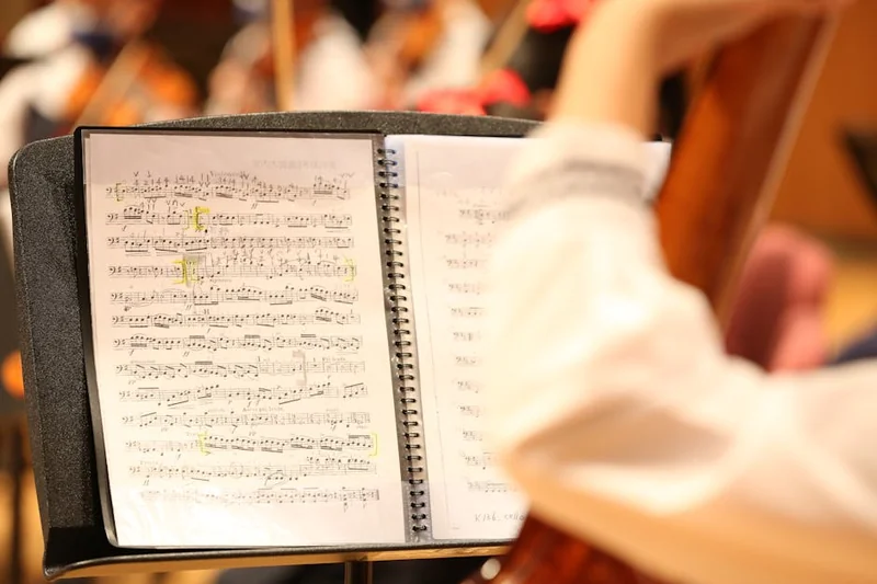 3.1절 자유음악회