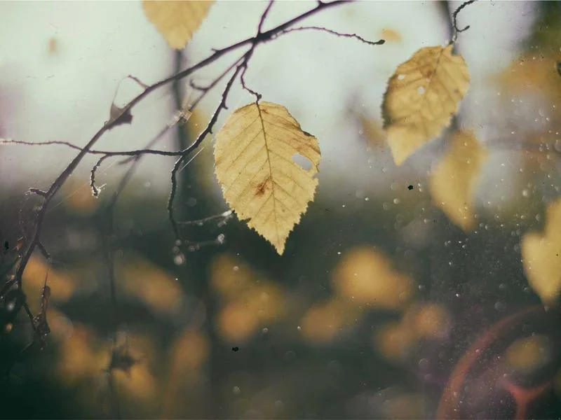 뉴욕 브로드웨이