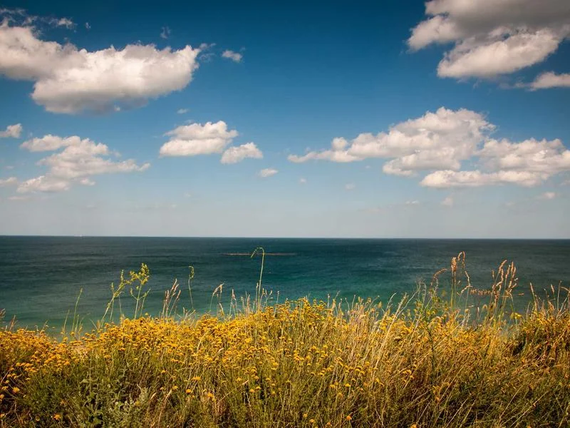 도쿄 여행 코스 지도