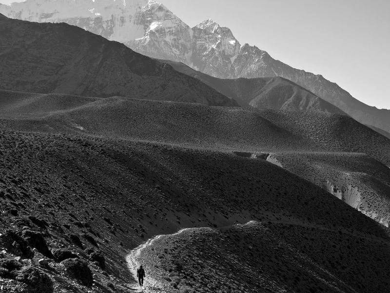 브로드웨이 42번가