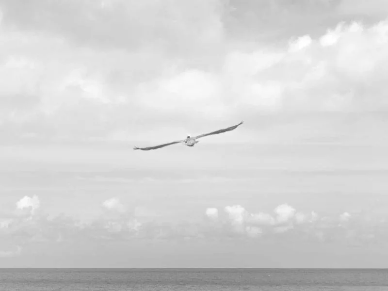 브로드웨이 42번가