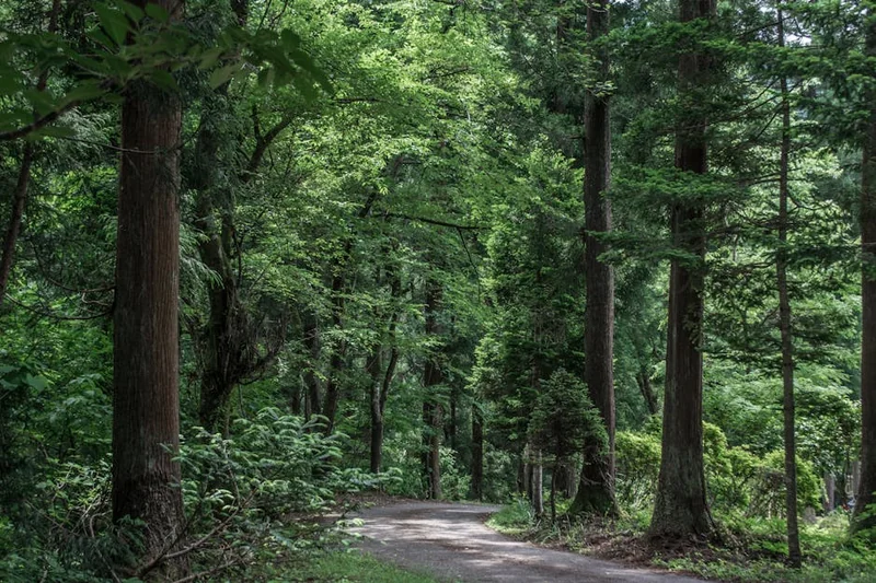 일본 니가타현 위치