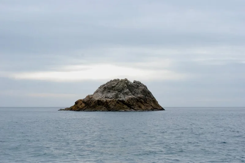 일본 니가타현 위치