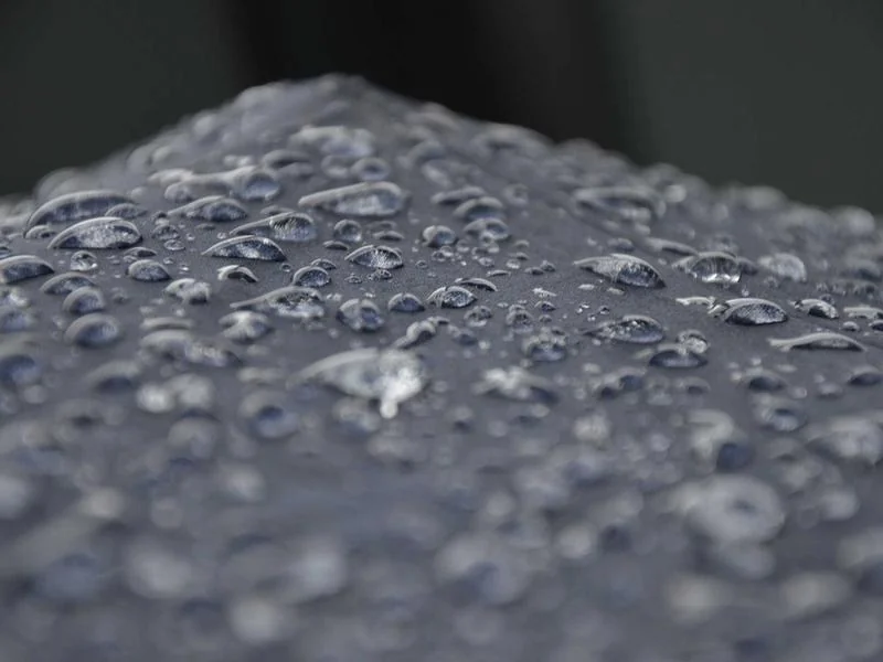 일본 도쿄 여행