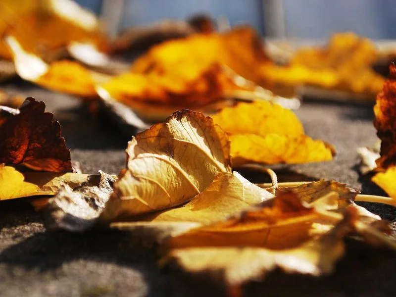 교토 가볼만한곳 부모님