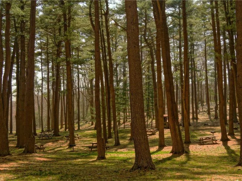 교토 가볼만한곳 부모님