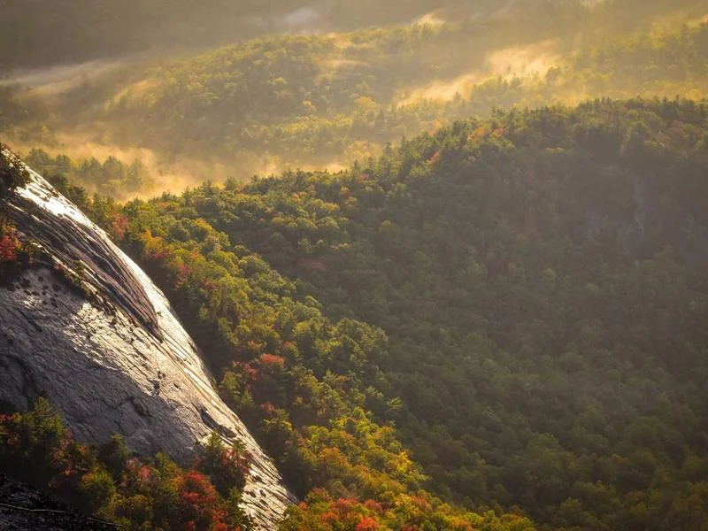 교토 가볼만한곳 부모님