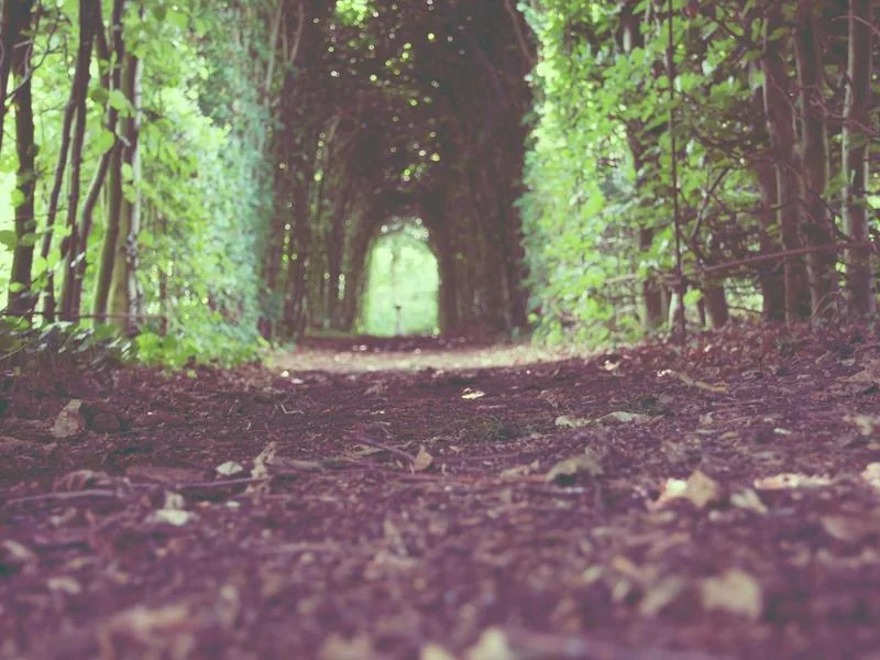 오사카 항공권 금액