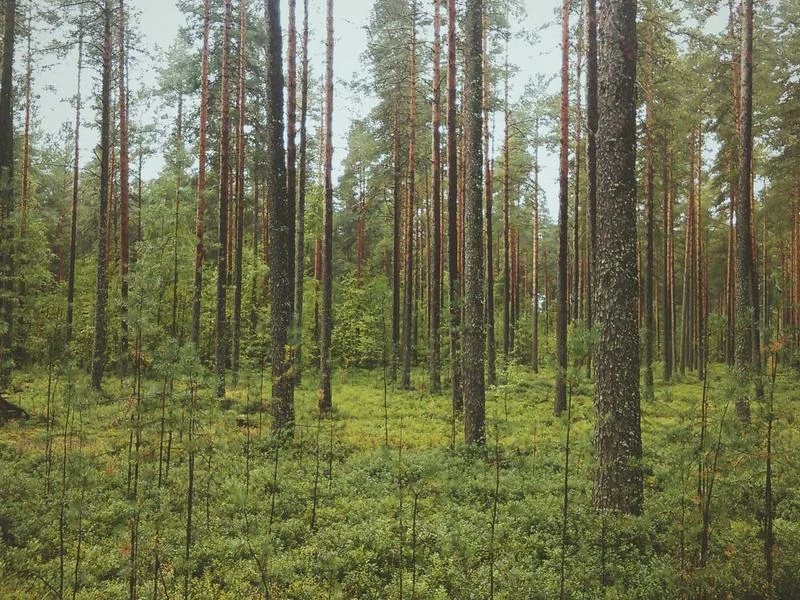 오사카 항공권 금액