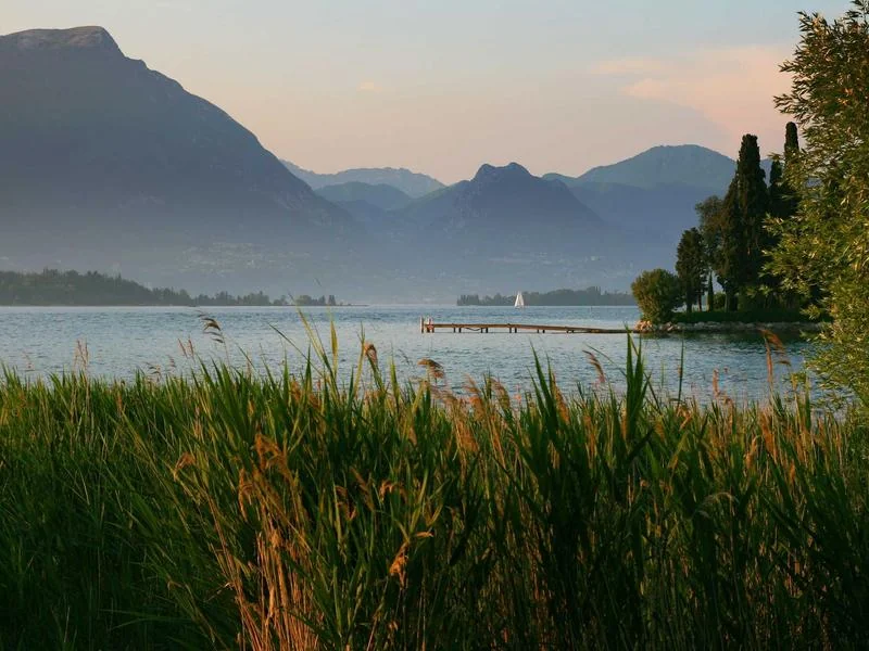 오사카 항공권 금액