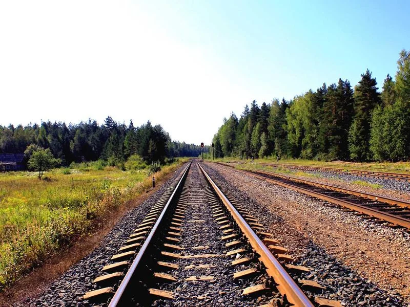 정월대보름 나물