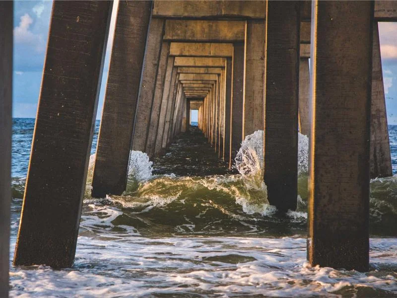 미국 뉴올리언스 축제