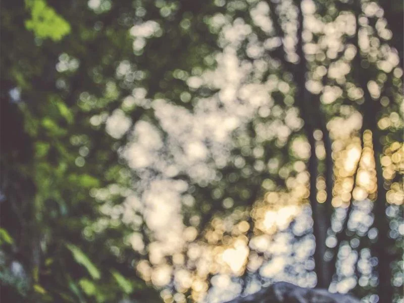 버버리 뉴햄프셔 체인